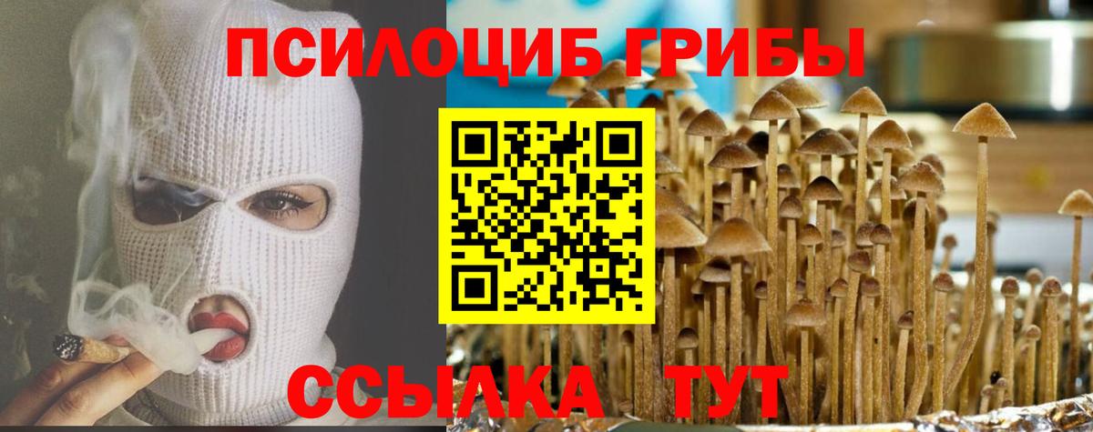 Псилоцибиновые грибы Psilocybine cubensis  Вход с VPN  Ростов-на-Дону 